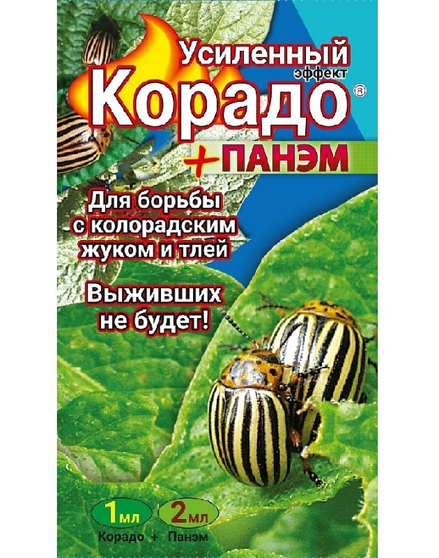 Корадо+Панэм, Усиленный эффект